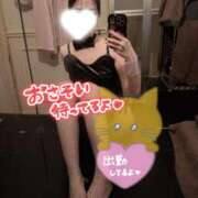 ヒメ日記 2025/11/22 19:47 投稿 サラ♡美Bodyスタイルバニー♡ ドMなバニーちゃん 名古屋・池下店