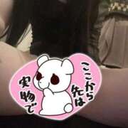 ヒメ日記 2025/11/24 16:53 投稿 サラ♡美Bodyスタイルバニー♡ ドMなバニーちゃん 名古屋・池下店