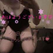 ヒメ日記 2025/11/25 11:37 投稿 サラ♡美Bodyスタイルバニー♡ ドMなバニーちゃん 名古屋・池下店