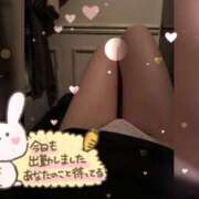 ヒメ日記 2026/01/04 10:14 投稿 サラ♡美Bodyスタイルバニー♡ ドMなバニーちゃん 名古屋・池下店