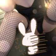 ヒメ日記 2026/01/18 16:37 投稿 サラ♡美Bodyスタイルバニー♡ ドMなバニーちゃん 名古屋・池下店