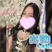 ヒメ日記 2026/01/20 10:17 投稿 サラ♡美Bodyスタイルバニー♡ ドMなバニーちゃん 名古屋・池下店