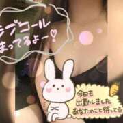 ヒメ日記 2026/02/01 18:07 投稿 サラ♡美Bodyスタイルバニー♡ ドMなバニーちゃん 名古屋・池下店