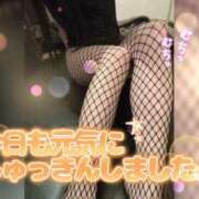 ヒメ日記 2026/02/04 10:22 投稿 サラ♡美Bodyスタイルバニー♡ ドMなバニーちゃん 名古屋・池下店