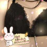 ヒメ日記 2026/02/20 10:08 投稿 サラ♡美Bodyスタイルバニー♡ ドMなバニーちゃん 名古屋・池下店