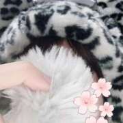 ヒメ日記 2025/10/21 22:39 投稿 ぷらする 上野ハンドメイド