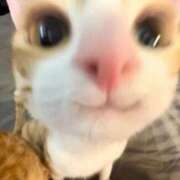 ヒメ日記 2025/10/15 11:45 投稿 みあ エスッテ×エスッテ