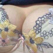 ヒメ日記 2025/10/27 19:52 投稿 ことは 池袋ぱんぷきん（シンデレラグループ）