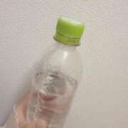 ヒメ日記 2026/02/09 17:59 投稿 ことは 池袋ぱんぷきん（シンデレラグループ）