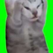 ヒメ日記 2025/10/27 10:51 投稿 じゅん 高津角えび