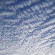 ヒメ日記 2025/11/12 08:48 投稿 じゅん 高津角えび