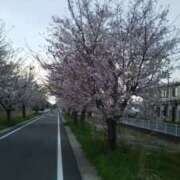 じゅん 28日お礼🤩 高津角えび