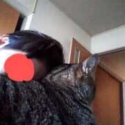 ヒメ日記 2026/04/29 06:58 投稿 じゅん 高津角えび