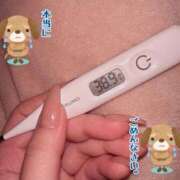 ヒメ日記 2025/11/12 09:46 投稿 いと E+アイドルスクール