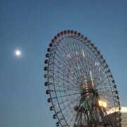 ヒメ日記 2025/11/03 09:50 投稿 アイビー 飾窓