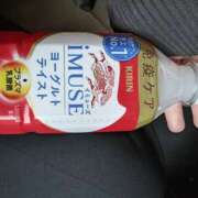 ヒメ日記 2025/12/05 06:50 投稿 アイビー 飾窓