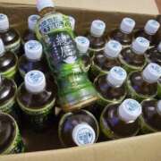 ヒメ日記 2025/12/16 20:54 投稿 アイビー 飾窓