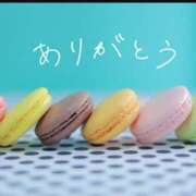 アイビー 嬉しいです! 飾窓