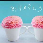 ヒメ日記 2025/12/27 01:31 投稿 アイビー 飾窓