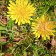 ヒメ日記 2025/12/30 10:30 投稿 アイビー 飾窓