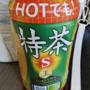 ヒメ日記 2026/01/23 11:27 投稿 アイビー 飾窓