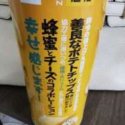 ヒメ日記 2026/02/19 18:56 投稿 アイビー 飾窓