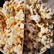 ヒメ日記 2026/03/20 17:39 投稿 アイビー 飾窓