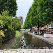 ヒメ日記 2025/11/03 19:18 投稿 咲耶はな 五十路マダムエクスプレス横浜店（カサブランカグループ）