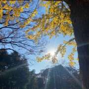 ヒメ日記 2025/11/12 01:44 投稿 咲耶はな 五十路マダムエクスプレス横浜店（カサブランカグループ）