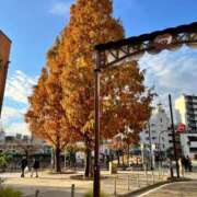 ヒメ日記 2025/12/07 12:00 投稿 咲耶はな 五十路マダムエクスプレス横浜店（カサブランカグループ）