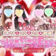 りんご 🍎と🍫 秋葉原鑑賞ガール