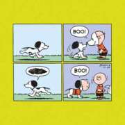 ヒメ日記 2025/11/01 18:31 投稿 フランちゃん Cawaiiハイ！スクールリターンズ