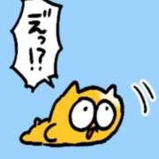 ヒメ日記 2026/02/09 19:15 投稿 フランちゃん Cawaiiハイ！スクールリターンズ