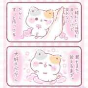 フランちゃん 🐱 Cawaiiハイ！スクールリターンズ