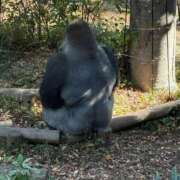 ヒメ日記 2025/12/22 13:11 投稿 (スタン)浅草なお/地元出身 風俗イキタイいわき店