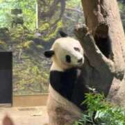 ヒメ日記 2025/12/30 09:41 投稿 (スタン)浅草なお/地元出身 風俗イキタイいわき店