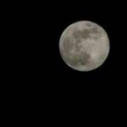 ヒメ日記 2026/01/05 01:31 投稿 (スタン)浅草なお/地元出身 風俗イキタイいわき店