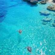 ヒメ日記 2026/01/23 09:21 投稿 (スタン)浅草なお/地元出身 風俗イキタイいわき店