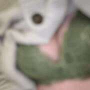 ヒメ日記 2026/03/14 14:30 投稿 (スタン)浅草なお/地元出身 風俗イキタイいわき店