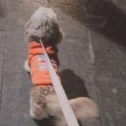 ヒメ日記 2025/12/14 21:15 投稿 みつ La Rouge(中津)