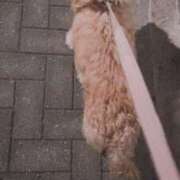 ヒメ日記 2026/01/08 21:24 投稿 みつ La Rouge(中津)