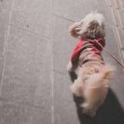 ヒメ日記 2026/01/13 21:39 投稿 みつ La Rouge(中津)