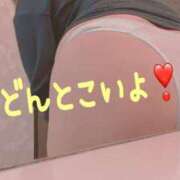 ヒメ日記 2026/03/05 19:21 投稿 みつ La Rouge(中津)