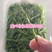 ヒメ日記 2026/03/14 11:33 投稿 みつ La Rouge(中津)