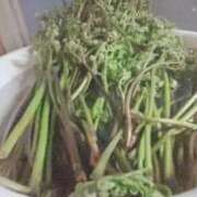 ヒメ日記 2026/04/06 19:01 投稿 みつ La Rouge(中津)