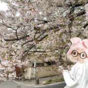 ヒメ日記 2026/04/10 06:41 投稿 みつ La Rouge(中津)