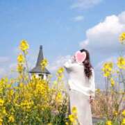 ヒメ日記 2026/04/11 07:30 投稿 みつ La Rouge(中津)