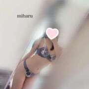 ヒメ日記 2025/11/14 16:58 投稿 周東みはる 月の真珠-新宿-