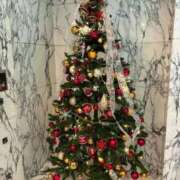 ヒメ日記 2025/12/26 08:08 投稿 周東みはる 月の真珠-新宿-