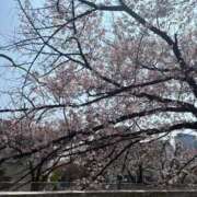 ヒメ日記 2026/04/01 08:18 投稿 周東みはる 月の真珠-新宿-